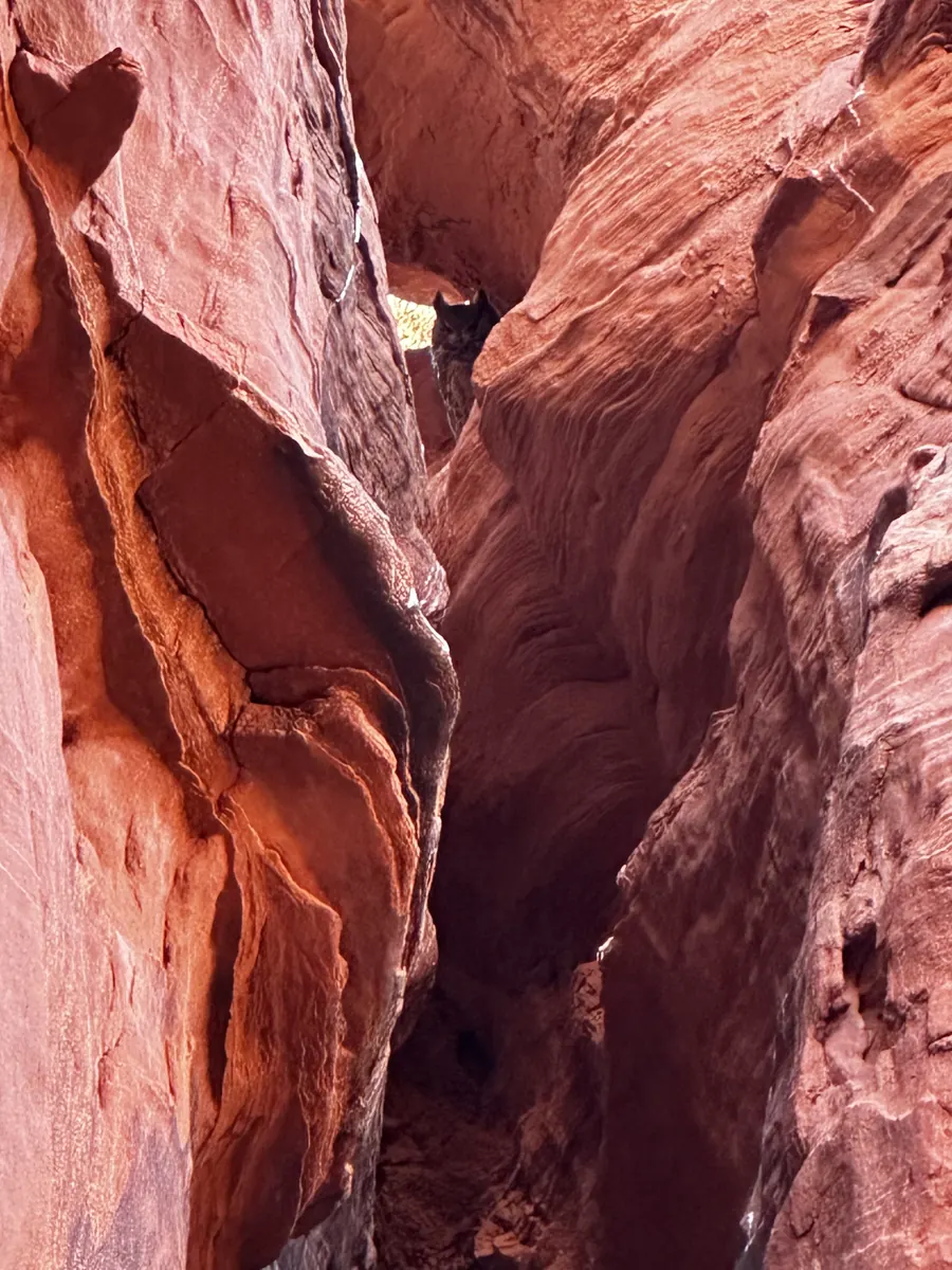 Deep red walls of Owl Canyon