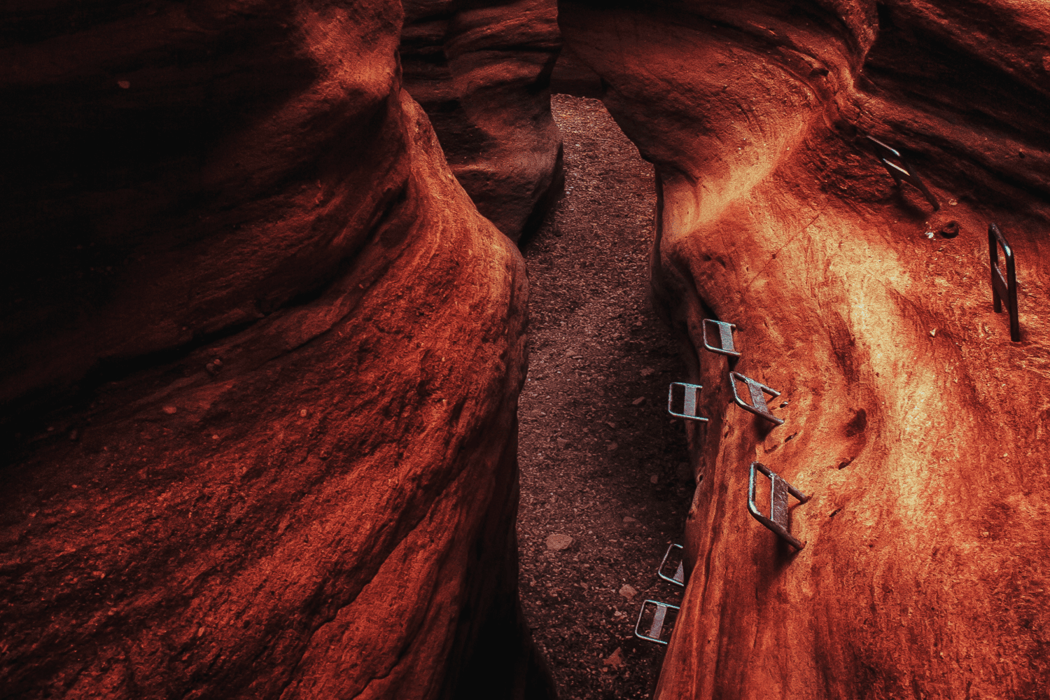 Via Ferrata at Adventure Ridge Park