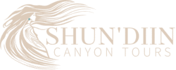 shundiin canyon tours page az navajo family owned business