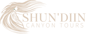 shundiin canyon tours page az navajo family owned business